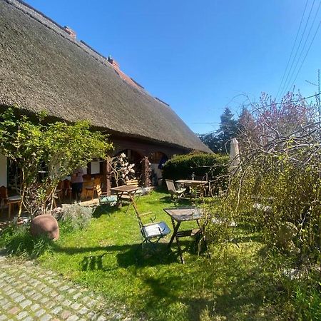 Fischerhaus Galenbeck Bed & Breakfast エクステリア 写真