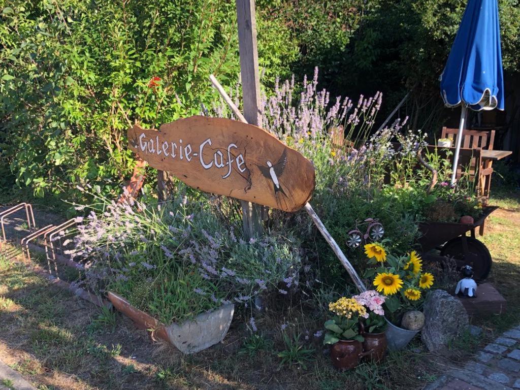 Fischerhaus Galenbeck Bed & Breakfast エクステリア 写真
