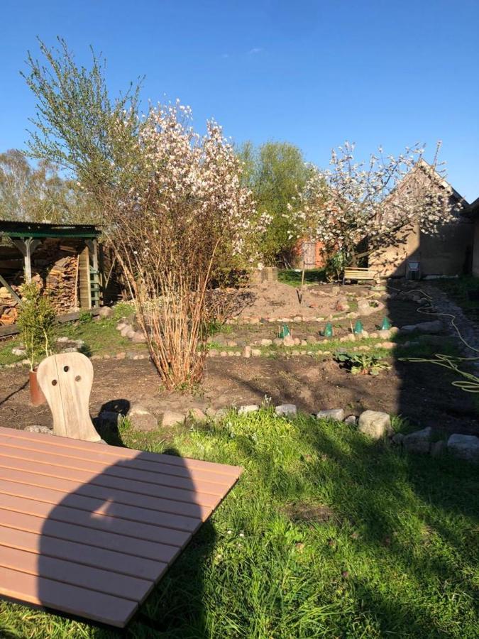 Fischerhaus Galenbeck Bed & Breakfast エクステリア 写真